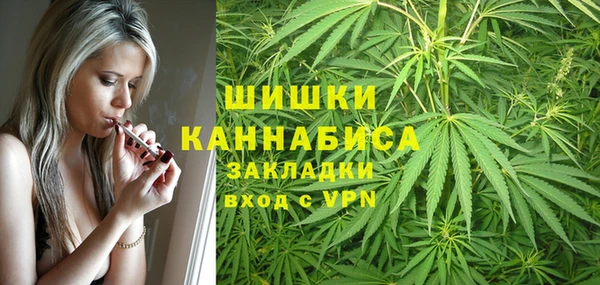 гидра Семилуки